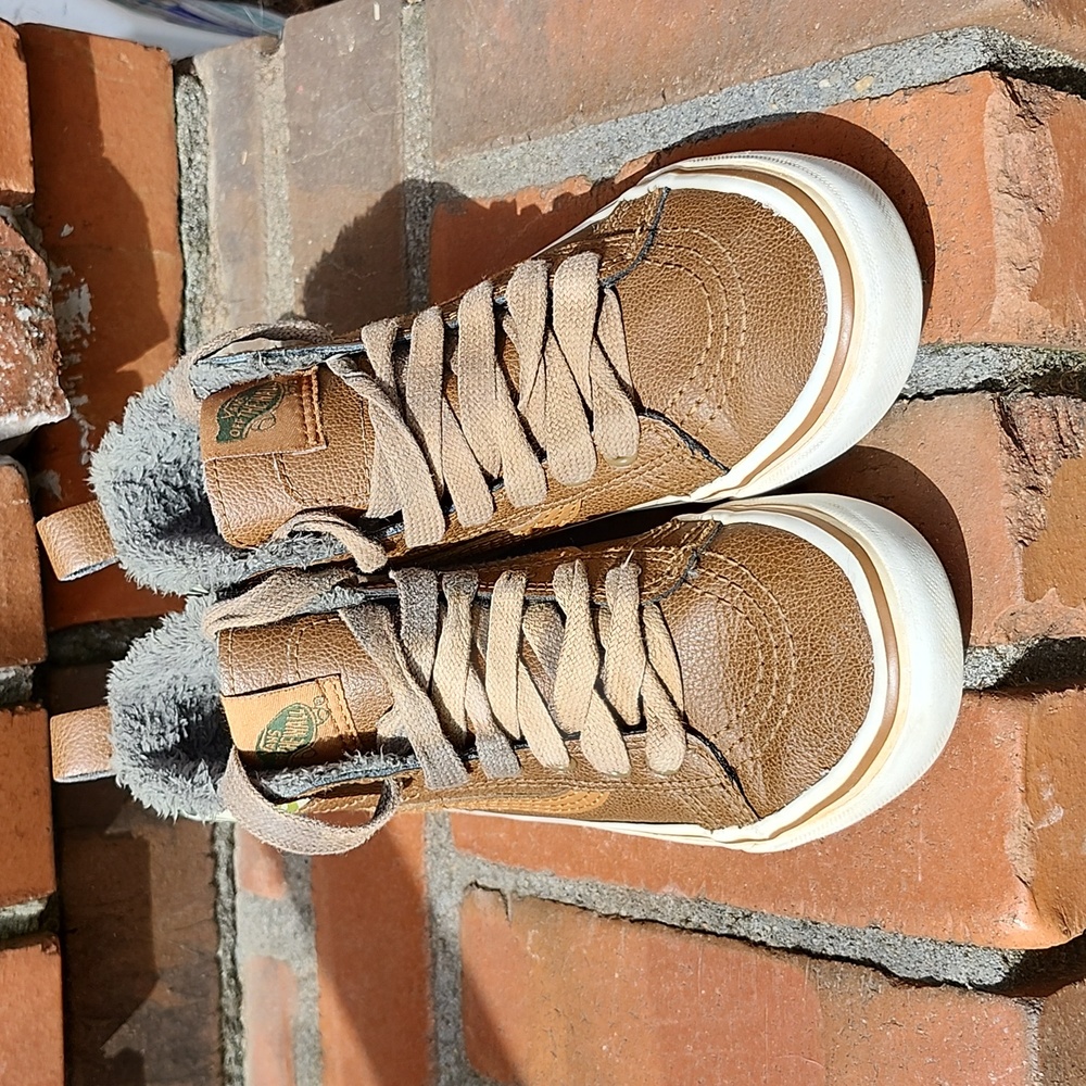 Vans Skateboard shoes